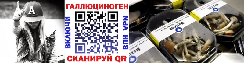 купить наркотик  Дагестанские Огни  Псилоцибиновые грибы прущие грибы 
