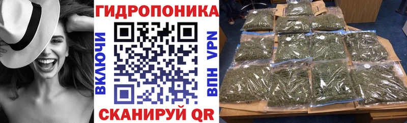 Конопля семена  Дагестанские Огни 